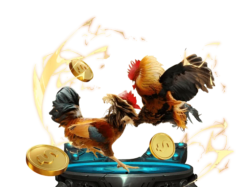 Hướng dẫn cá cược đá gà tại hi88 23